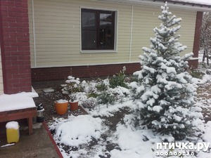 ����: �������� ������, ��� �������)))