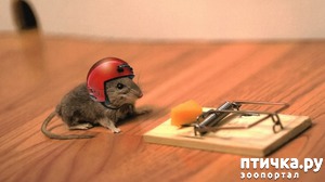 ����: ������ � ��������� � ��������� �������