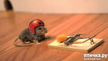 ����: ������ � ��������� � ��������� �������