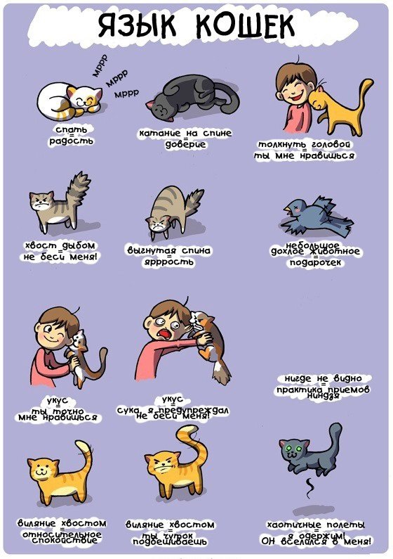 ���� 4: � �� ����� ��������� ����� ��������?