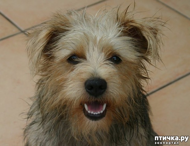 ���� 1: �������� �� ������� ���)))