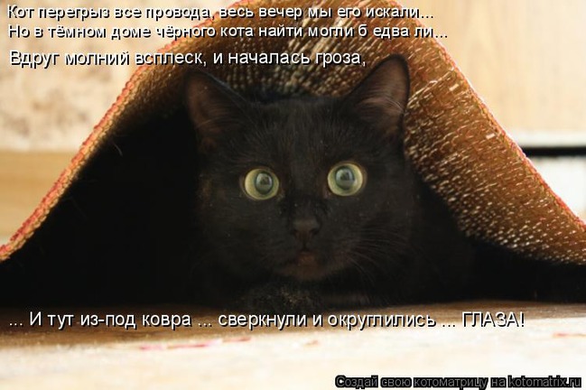 ���� 3: �����������: ����� ����!