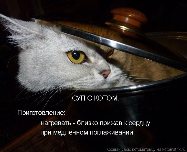 ���� 4: �����������: ����� ����!