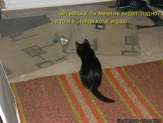 ���� 5: �����������: ����� ����!