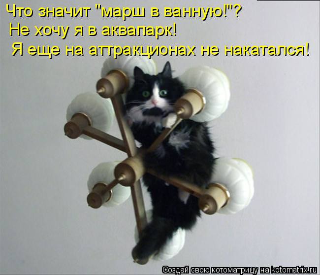 ���� 6: �����������: ����� ����!