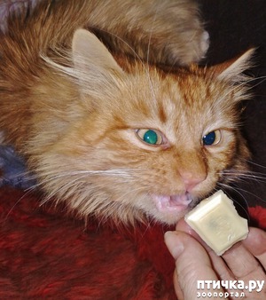 ����: ����� �������? �����! � ���� ����!