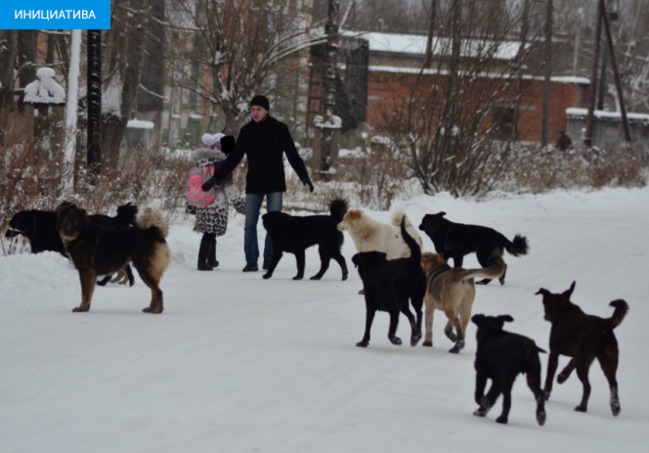 ���� 3: �������� ������ - ���� ��� ����?