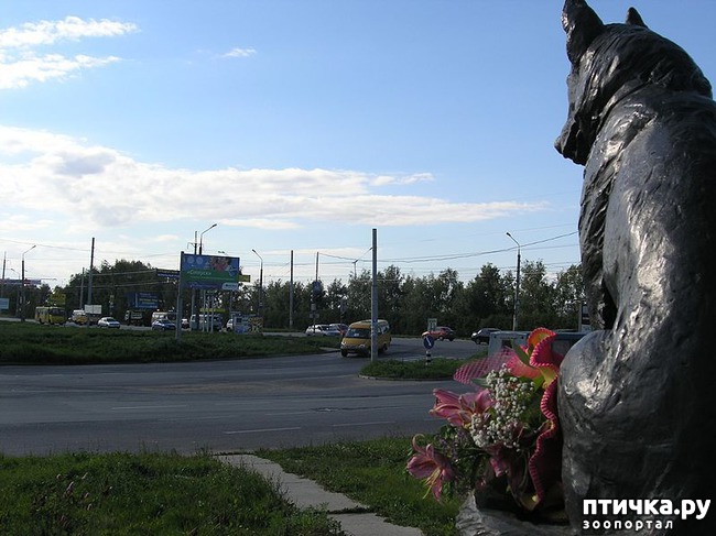 ���� 2: �������� �����������