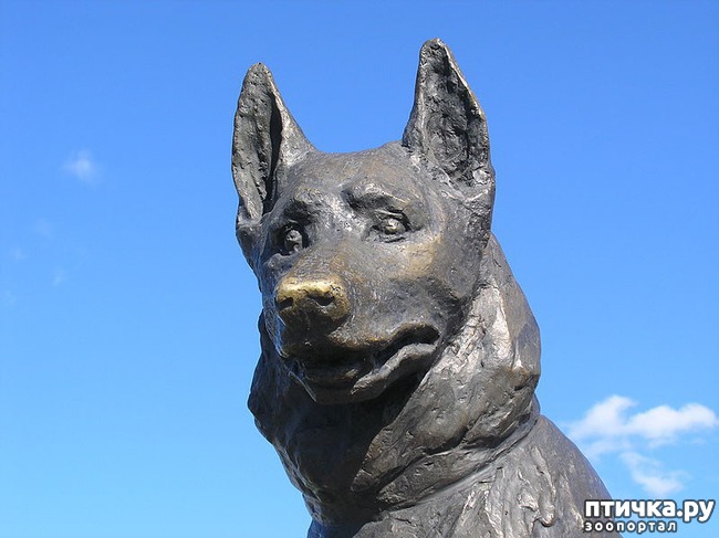 ���� 3: �������� �����������