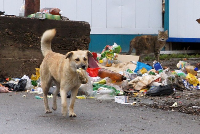 ���� 7: �������� ������ - ���� ��� ����?