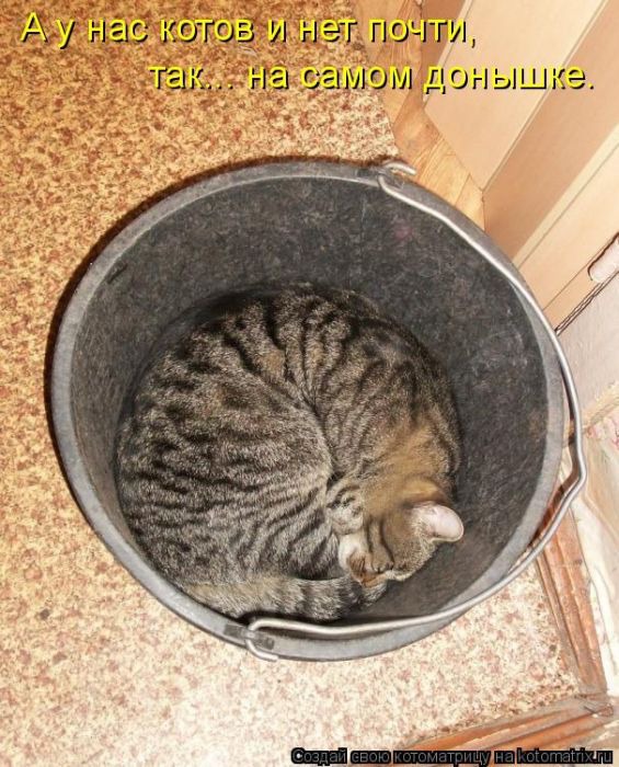 ���� 14: �����������: ����� ����!