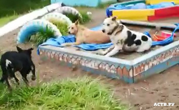 ���� 11: �������� ������ - ���� ��� ����?