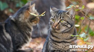 ����: ��������� ��� � ������� ��������))