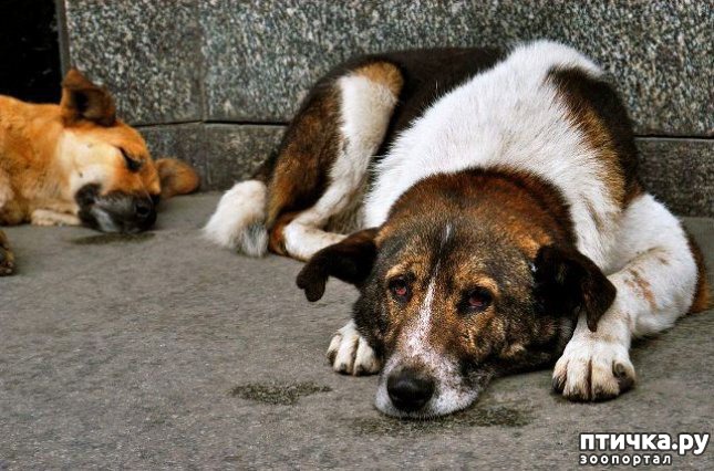 ���� 12: �������� ������ - ���� ��� ����?