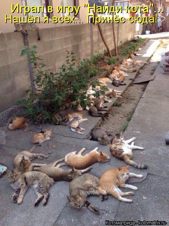 ���� 15: �����������: ����� ����!