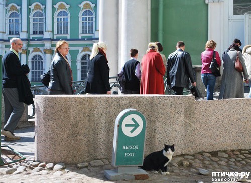 ���� 2: ���� �������� (���������)