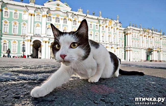 ���� 3: ���� �������� (���������)