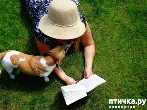 ����: �������� ��������: ������ ����������