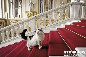 ����: ���� �������� (���������)