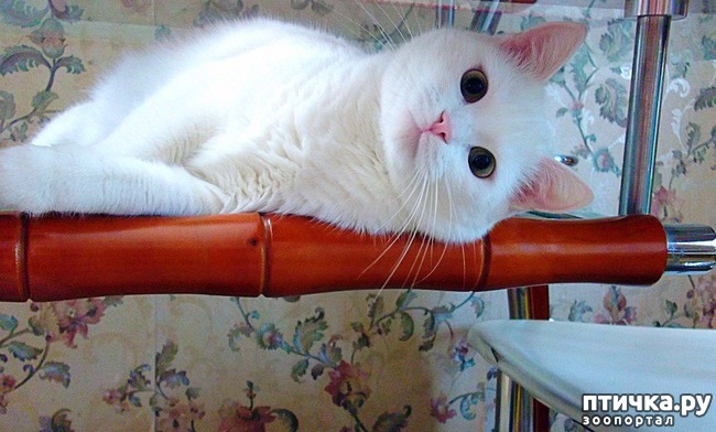 ���� 1: ����, ������ � ������� ����� � ����.