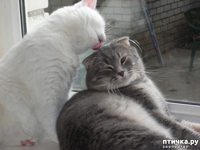 ���� 2: ����, ������ � ������� ����� � ����.