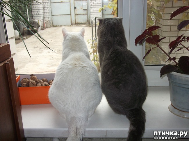 ���� 3: ����, ������ � ������� ����� � ����.