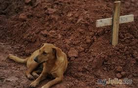 ����: ��� ����� �� ��������...