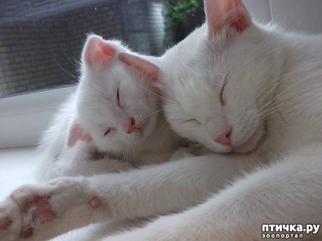 ���� 4: ����, ������ � ������� ����� � ����.