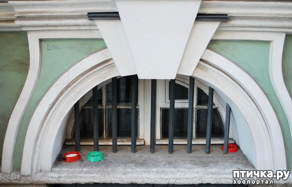 ���� 1: ���� �������� (����������� 2)