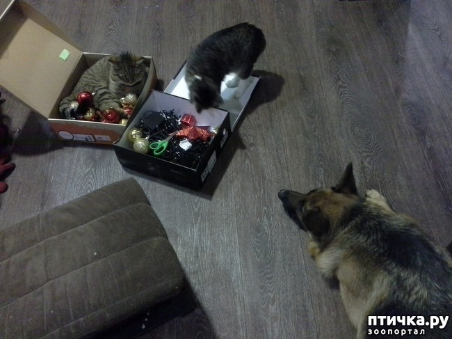 ���� 1: ����� ���� ��������