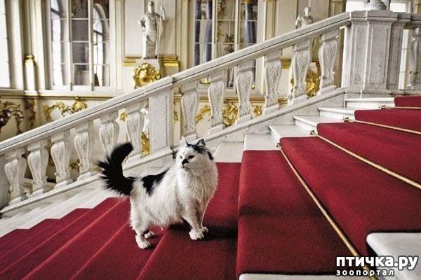 ���� 2: ���� �������� (����������� 2)