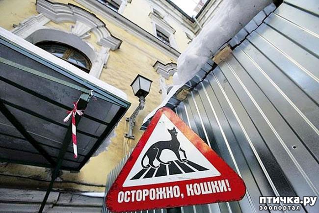 ���� 3: ���� �������� (����������� 2)