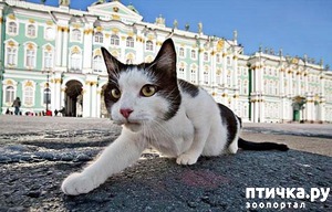 ����: ���� �������� (����������� 2)