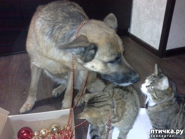 ���� 2: ����� ���� ��������