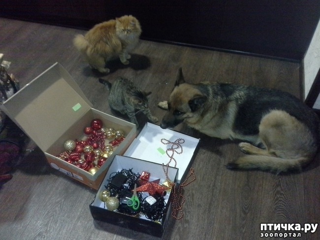 ���� 3: ����� ���� ��������