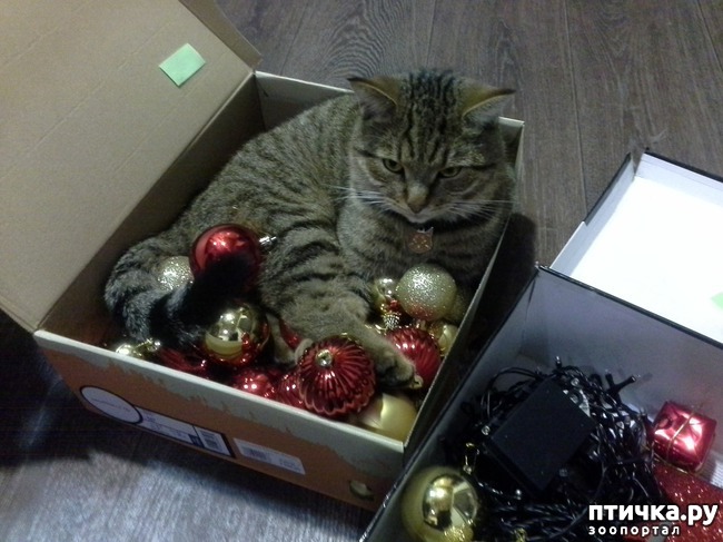 ���� 4: ����� ���� ��������