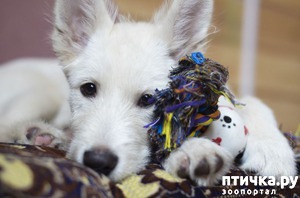 ����: ����� ������ ����� ���� ���������!