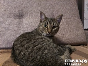 ����: � ��� ���������� � �����!!! ������� ��������!