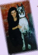 ���� 1: ���� ����������� ������ ���������, ��� ��� ����� �� �����