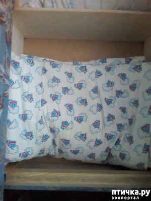 ����: ��� ���������