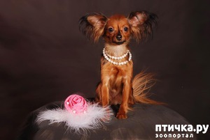 ����: ���� ����������� ������ ���������, ��� ��� ����� �� �����