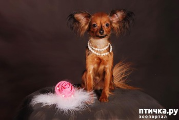 ����: ���� ����������� ������ ���������, ��� ��� ����� �� �����