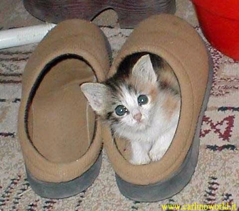 ���� 4: ����� � �����. ���������!!! ����� 3