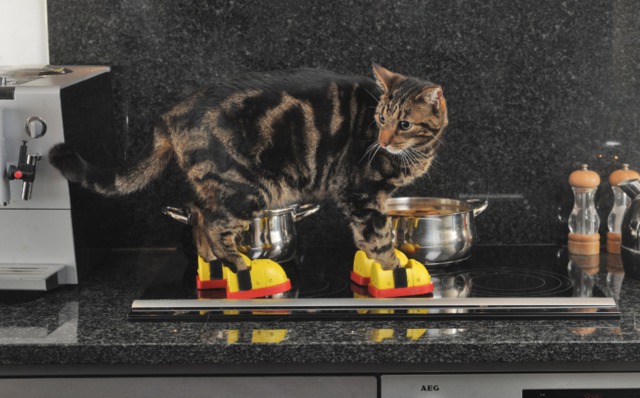 ���� 5: ����� � �����. ���������!!! ����� 3