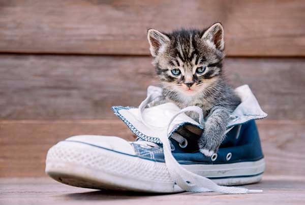 ���� 6: ����� � �����. ���������!!! ����� 3