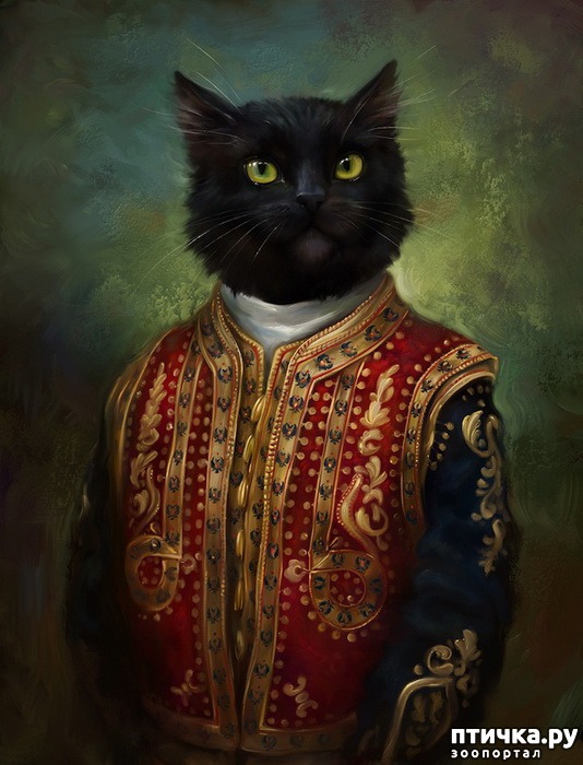 фотография 2: Коты Эрмитажа Открытки Эльдара Закирова фото 2: Коты Эрмитажа Открытки Эльдара Закирова