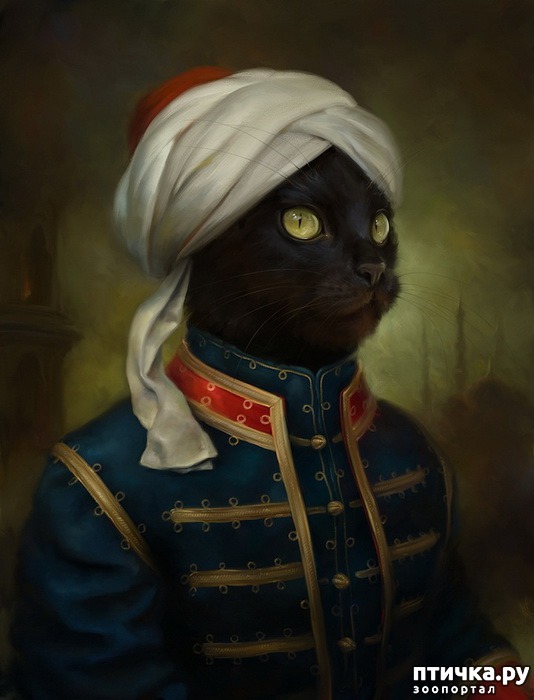 фотография 4: Коты Эрмитажа Открытки Эльдара Закирова фото 4: Коты Эрмитажа Открытки Эльдара Закирова