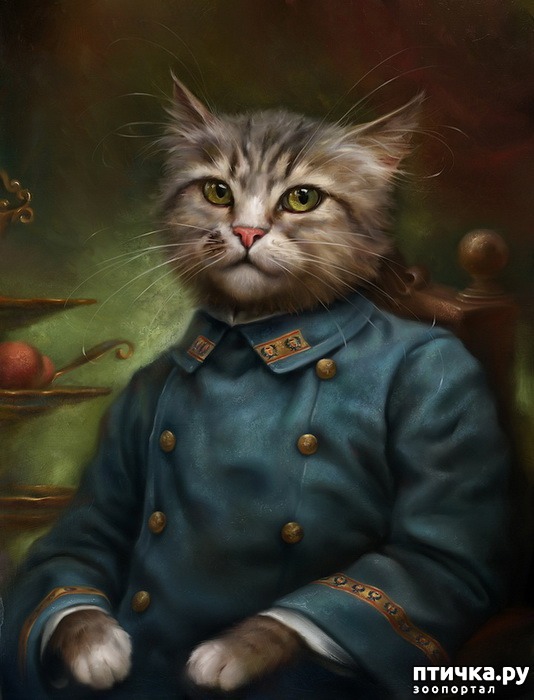 фотография 5: Коты Эрмитажа Открытки Эльдара Закирова фото 5: Коты Эрмитажа Открытки Эльдара Закирова