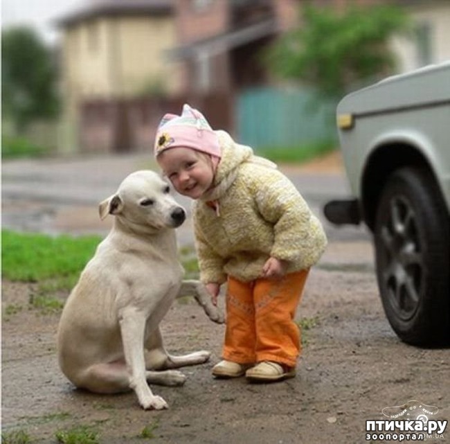 ���� 2: ����� �������, ������� �������, ��� ����� ���������� �������)))