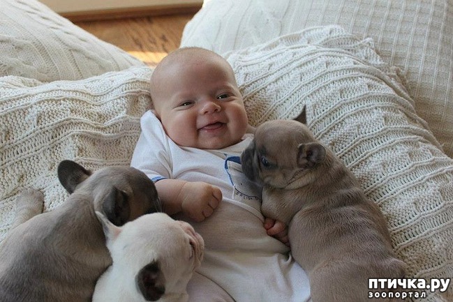 ���� 6: ����� �������, ������� �������, ��� ����� ���������� �������)))